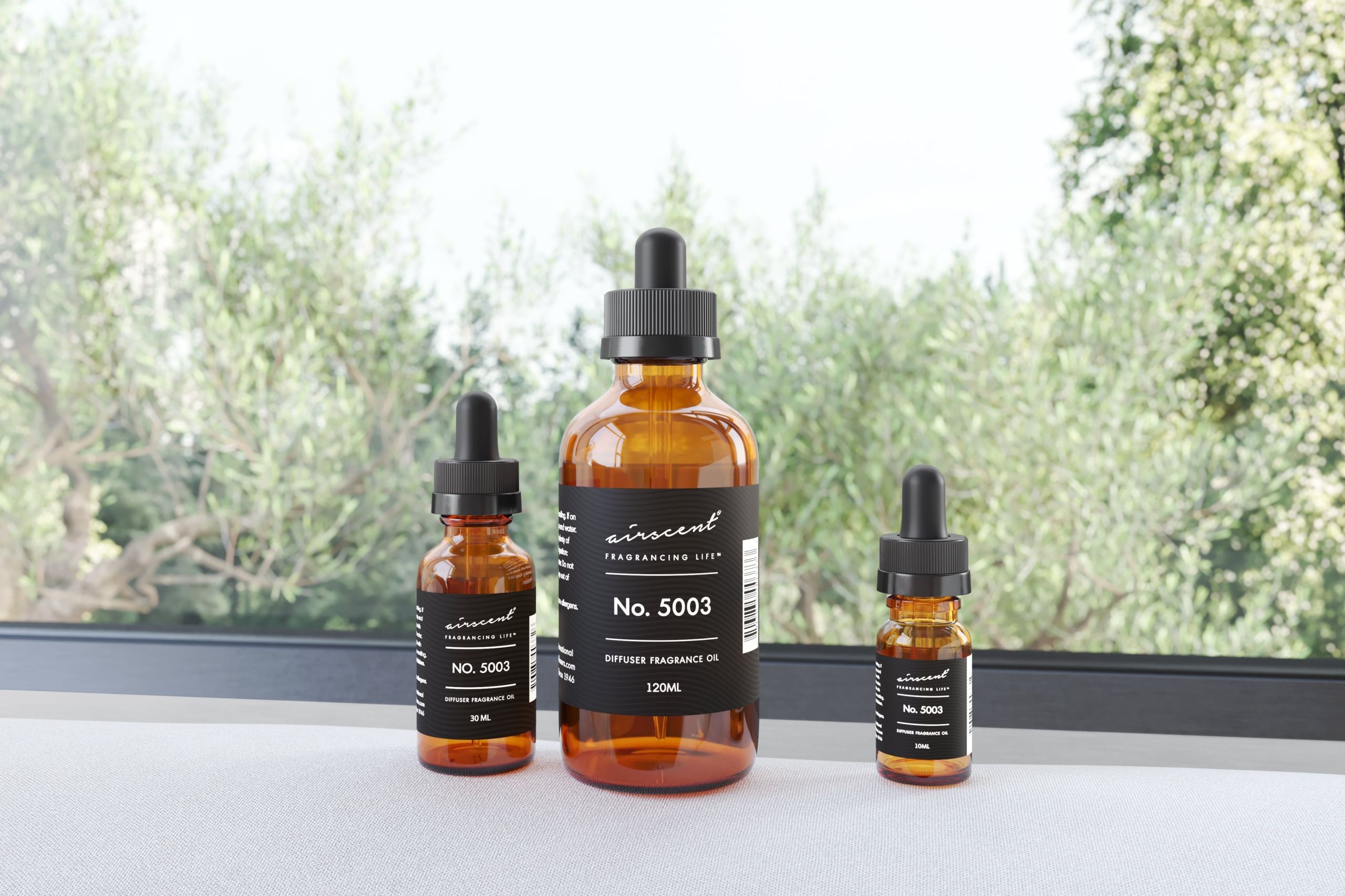 Fragrance Bottles Group Shot beside a Window