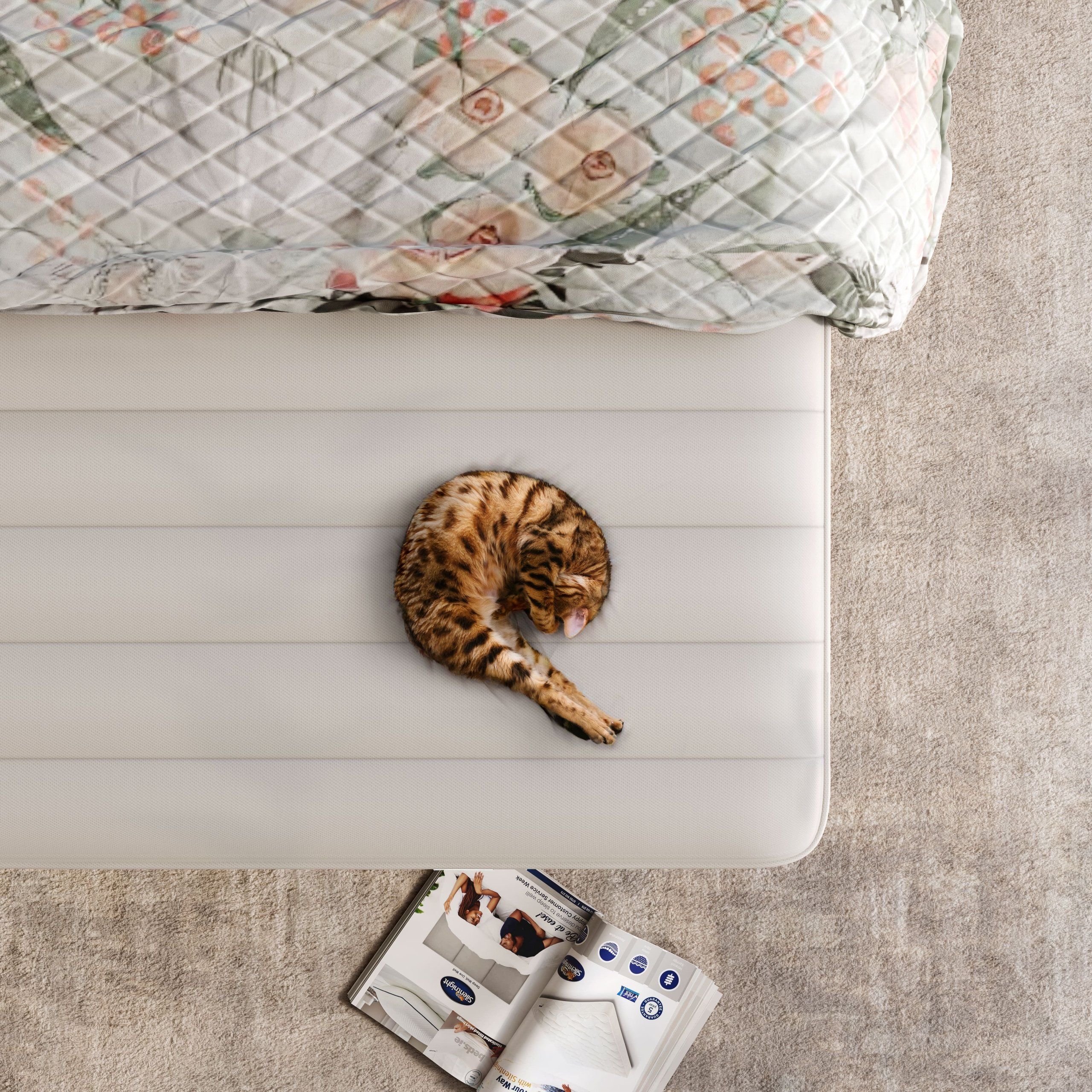 Realistic 3D house fittings rendering showcasing a realistic scene with a cat on a bed, demonstrating photorealistic visualization and interior design.